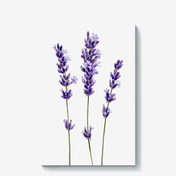 Холст &laquo;Лаванда. Фиолетовые цветы. Летний принт.&raquo;