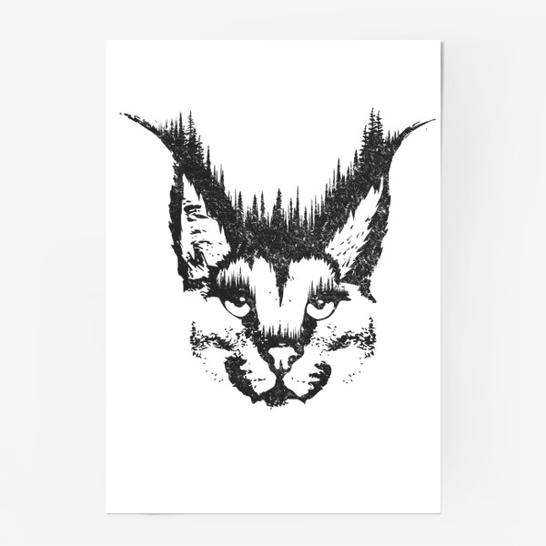 Постер «Lynx»