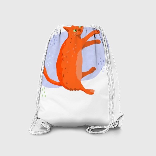 Рюкзак «Кот рыжий лежит»
