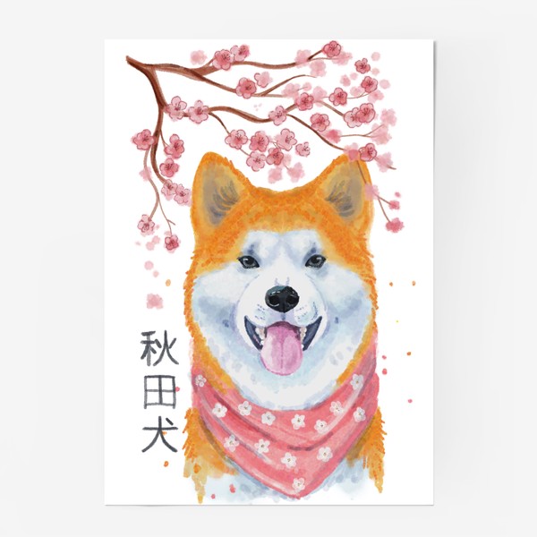 Постер «Собака Акита Ину. Япония и сакура.»