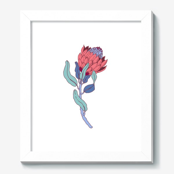 Картина «Африканский цветок протея»