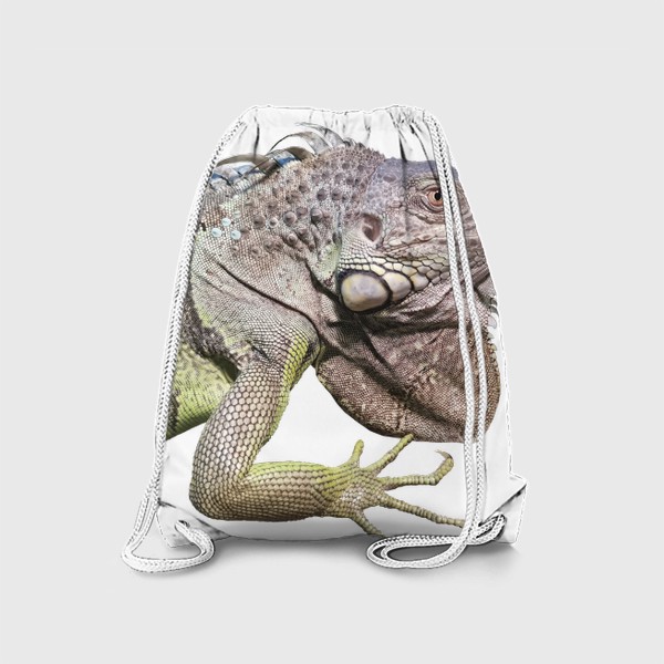 Рюкзак «домашний динозавр - игуана. Рептилия - ящерица»