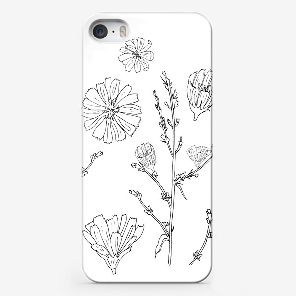 Чехол iPhone «луговые цветы, цикорий»