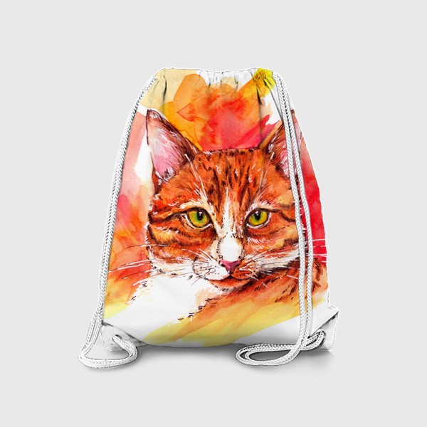 Рюкзак «Рыжий кот»
