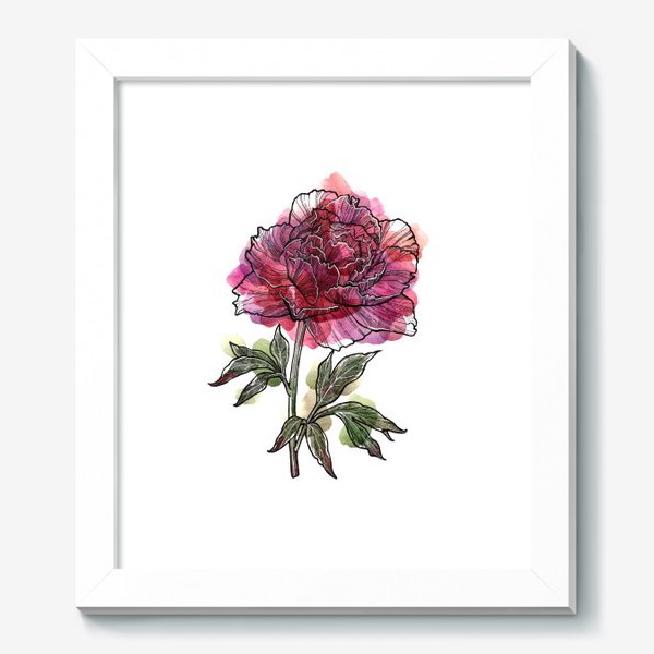 Картина &laquo;Розовый пион. Цветы. Акварель&raquo;
