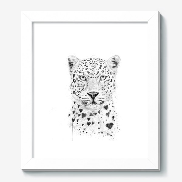 Картина «Lovely leopard автор Balazs Solti»
