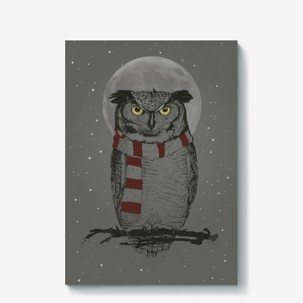 Холст «Winter Owl автор Balazs Solti»