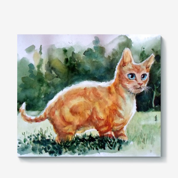 Холст «Рыжий котя на полянке»
