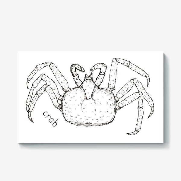 Холст «Crab»