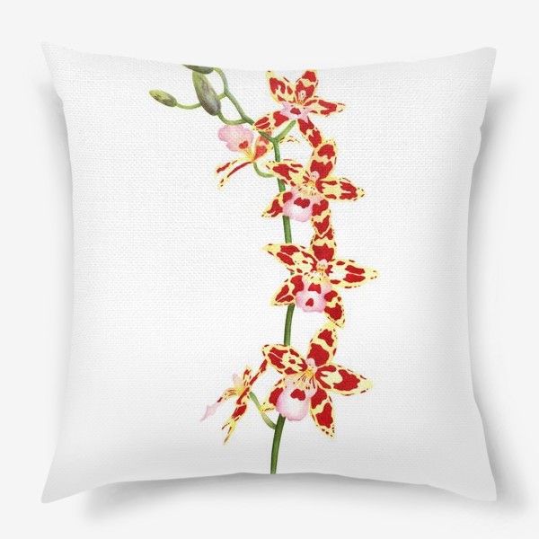 Подушка «Орхидея Камбрия»