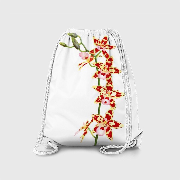 Рюкзак «Орхидея Камбрия»