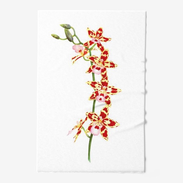 Полотенце «Орхидея Камбрия»