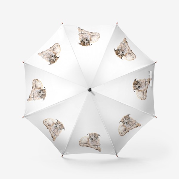 Зонт «Собака дворняжка лежит»