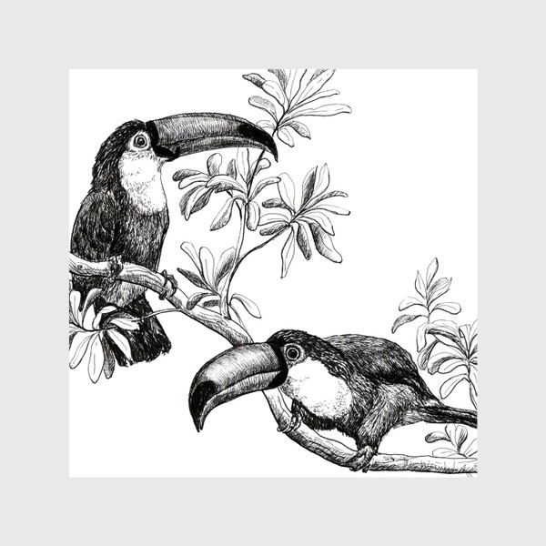 Шторы «Пара птиц туканов на ветке в тропическом лесу»