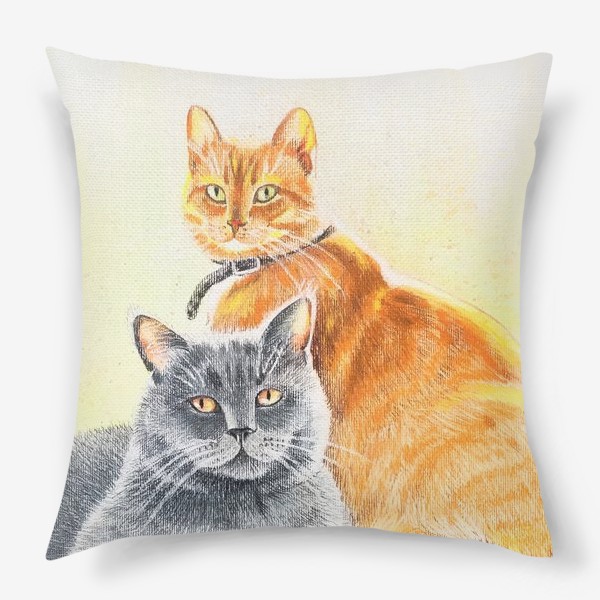 Подушка «Друзья коты (Один серый, другой рыжий)»