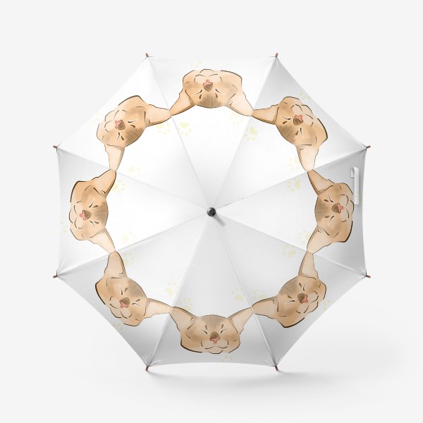 Зонт «Сонная абиссинская кошка»