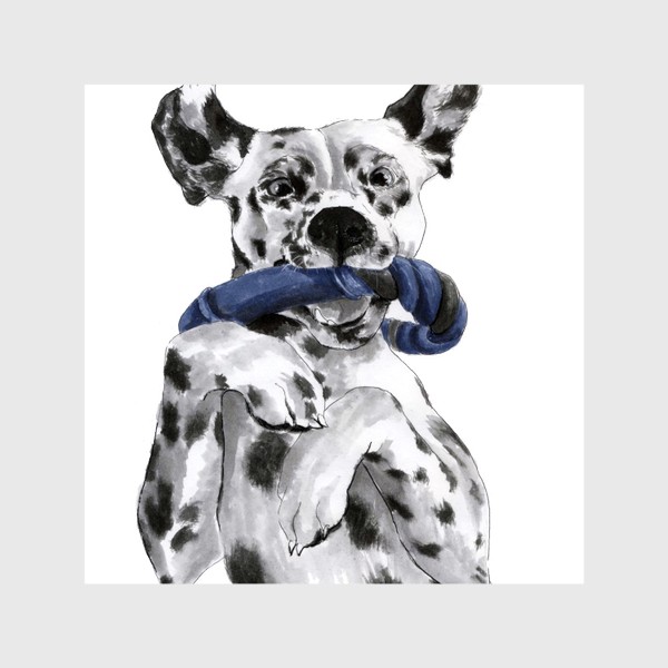 Шторы «Портрет собаки породы далматинец с игрушкой»