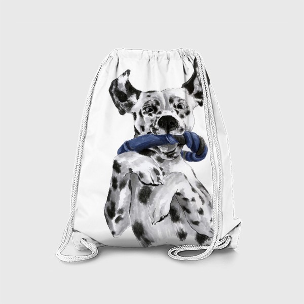 Рюкзак «Портрет собаки породы далматинец с игрушкой»