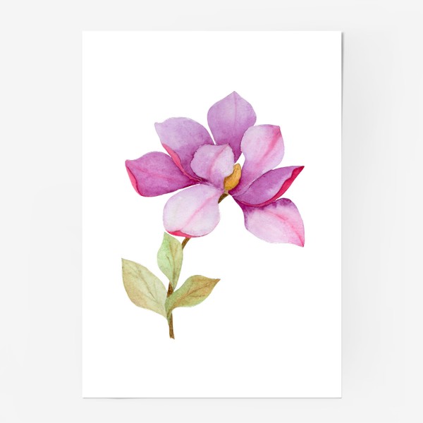 Постер «Цветок Магнолии»
