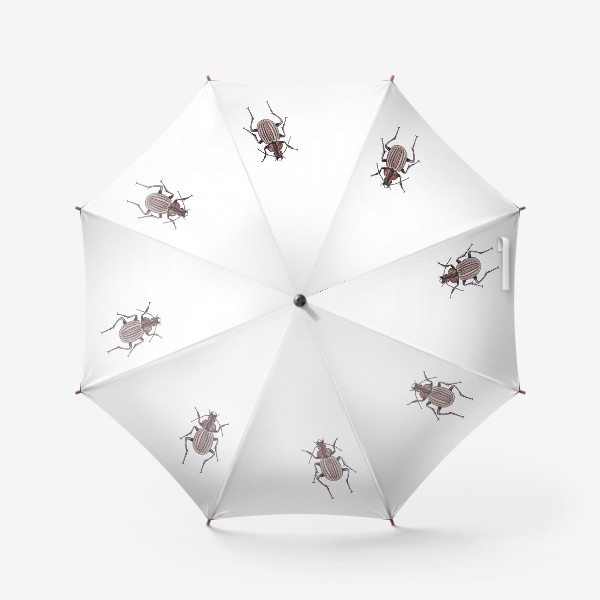 Зонт «Насекомое жук слизнеед ребристый»