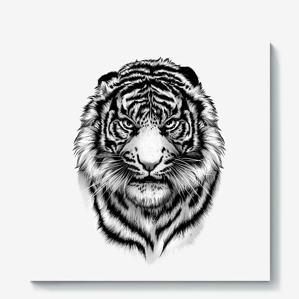 Холст «Тигр Черно-белый »