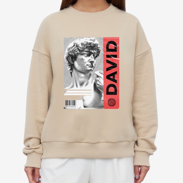 Свитшот «Статуя Давида Микеланджело - Рваная Обложка David»