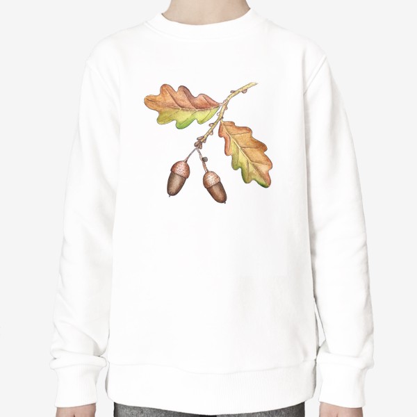Свитшот «Жёлуди и дубовые листья. Акварель.»
