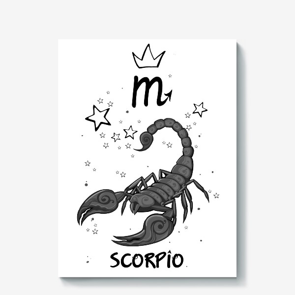 Холст «скорпион»