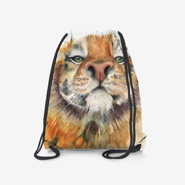 Рюкзак «Тиграша»