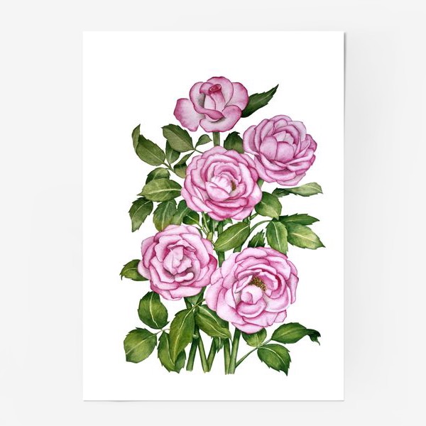 Постер «Кустовые розы»