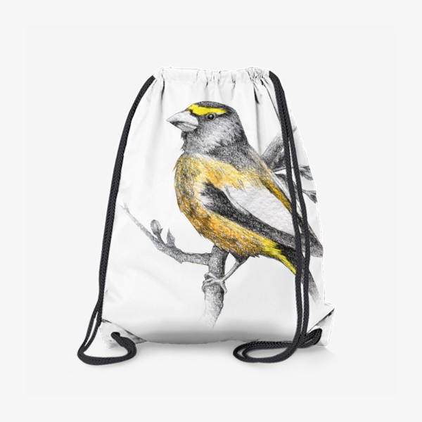 Рюкзак «Птичка (Вечерний американский дубонос, жёлтый дубонос)»