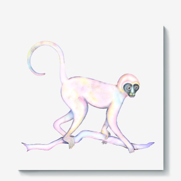 Холст «Разноцветная обезьянка»