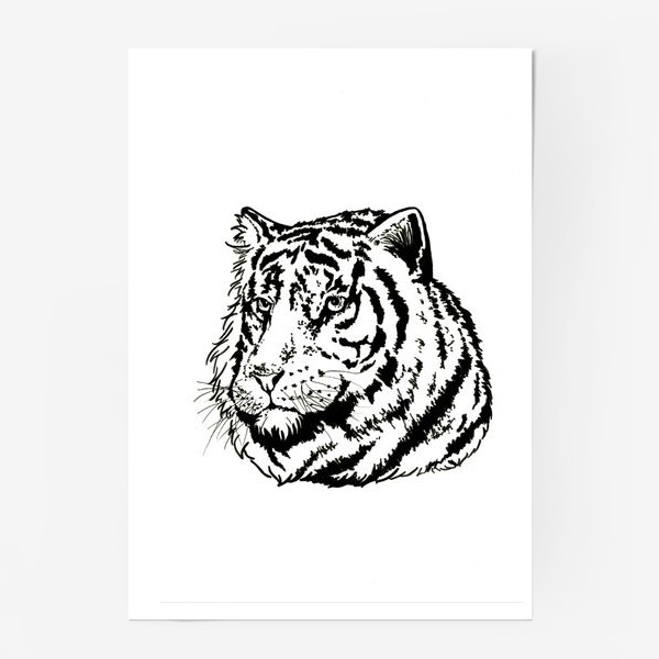 Постер «Тигр портрет»