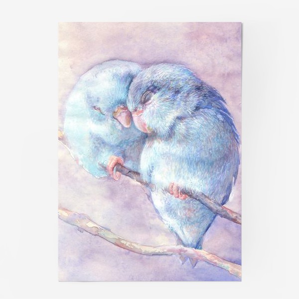 Постер «Голубые попугайчики »