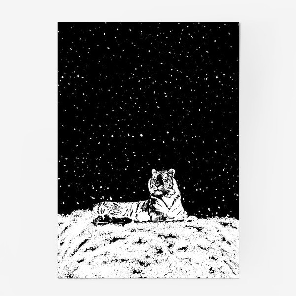 Постер «Ночной тигр»