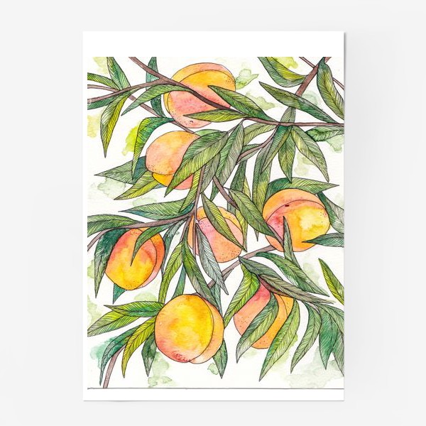 Постер «Персики»