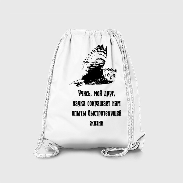Рюкзак «Мудрая сова»