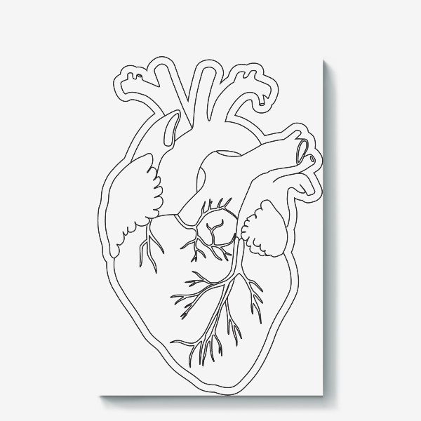 Холст «Анатомическое сердце»