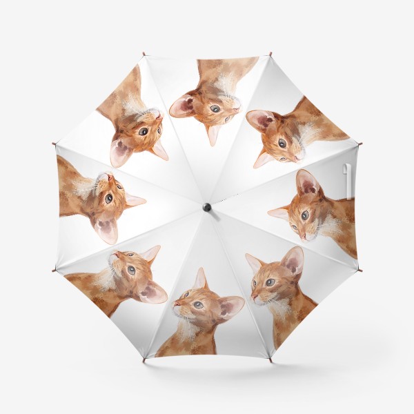 Зонт «Chocolate Burmese CAT»