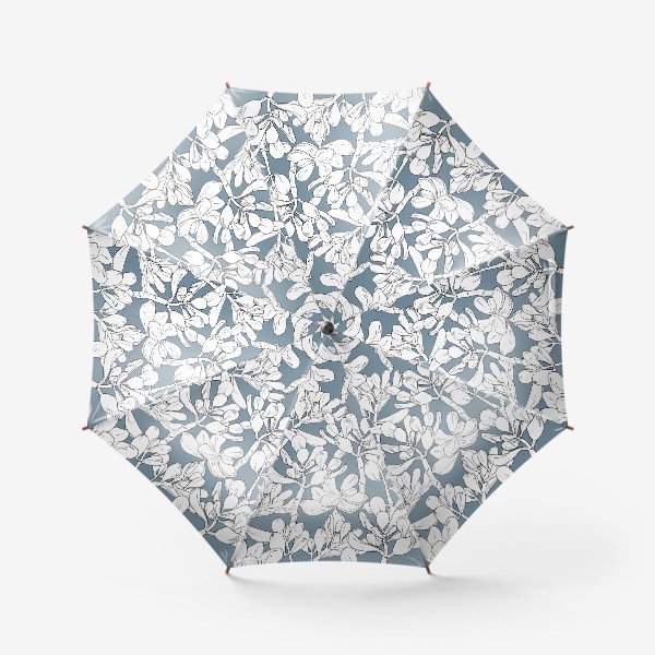 Зонт «цветы суккулент, толстянка»