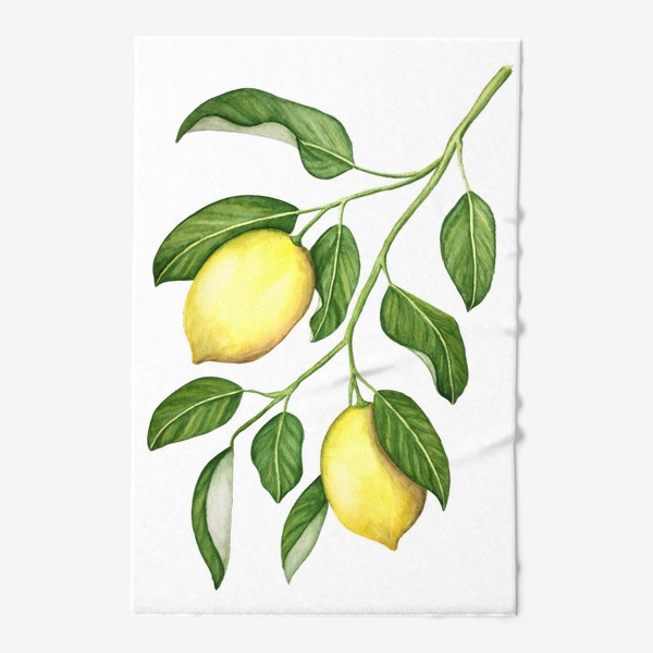 Полотенце «Ветка с лимонами. Акварель.»