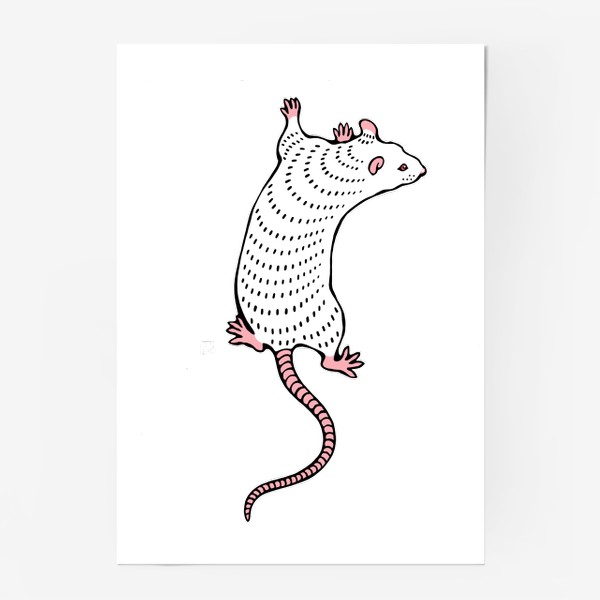 Постер «крыса»