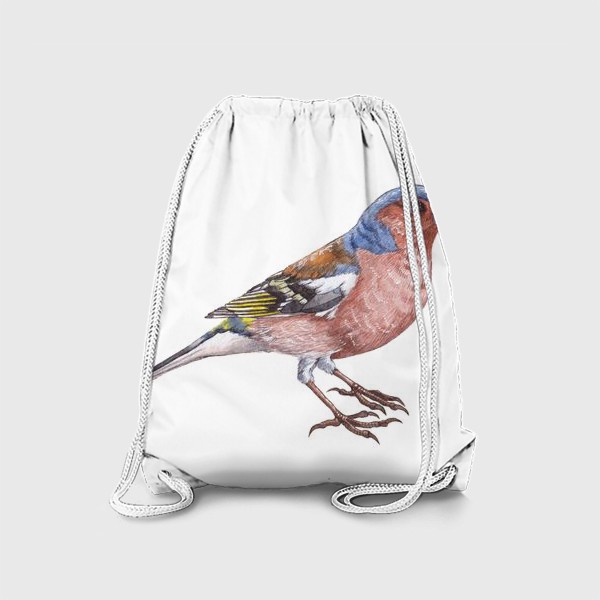 Рюкзак «Птицы. Зяблик»