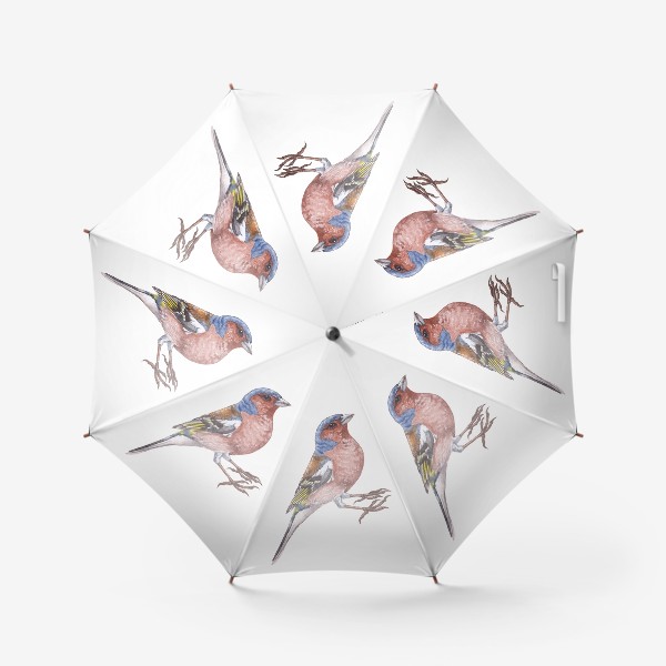 Зонт «Птицы. Зяблик»