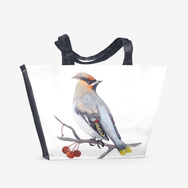 Пляжная сумка «Птицы. Свиристель»