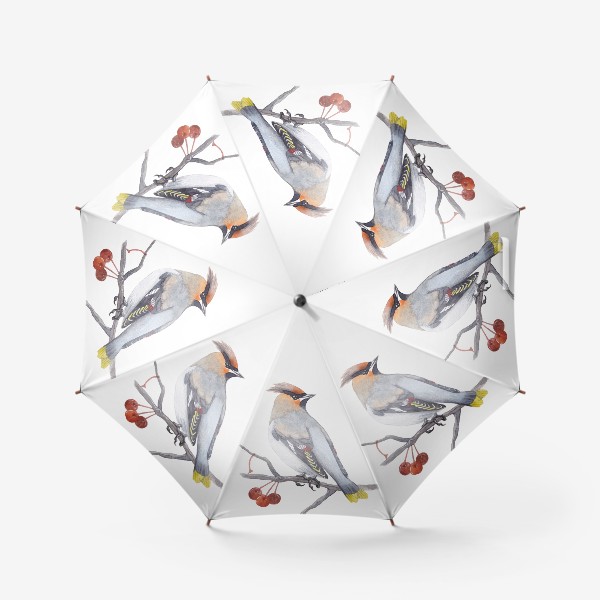 Зонт «Птицы. Свиристель»