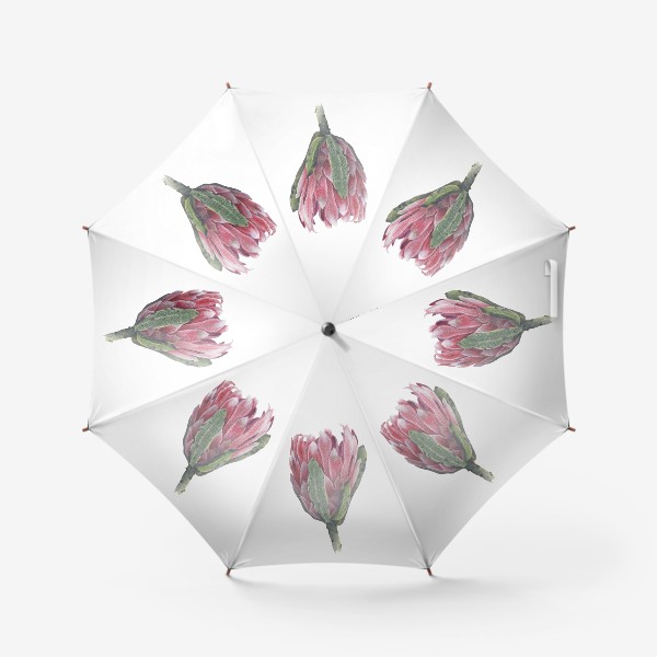 Зонт «Протея»