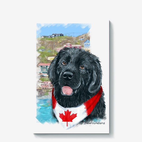 Холст «Собаки и путешествия. Ньюфаундленд. Канада.»