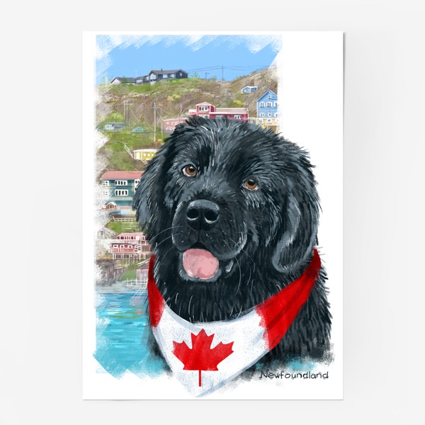 Постер «Собаки и путешествия. Ньюфаундленд. Канада.»