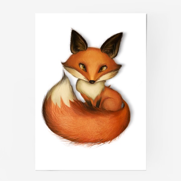 Постер &laquo;Red fox&raquo;